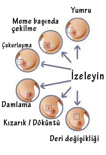 cildimiz